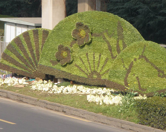 上海五色草造型