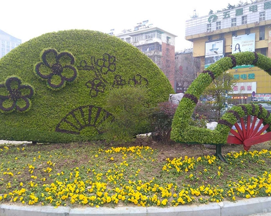 河南五色草造型